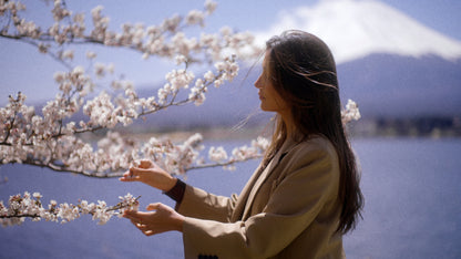 MABO Master Collection