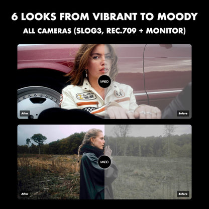 MABO Master Collection Lite