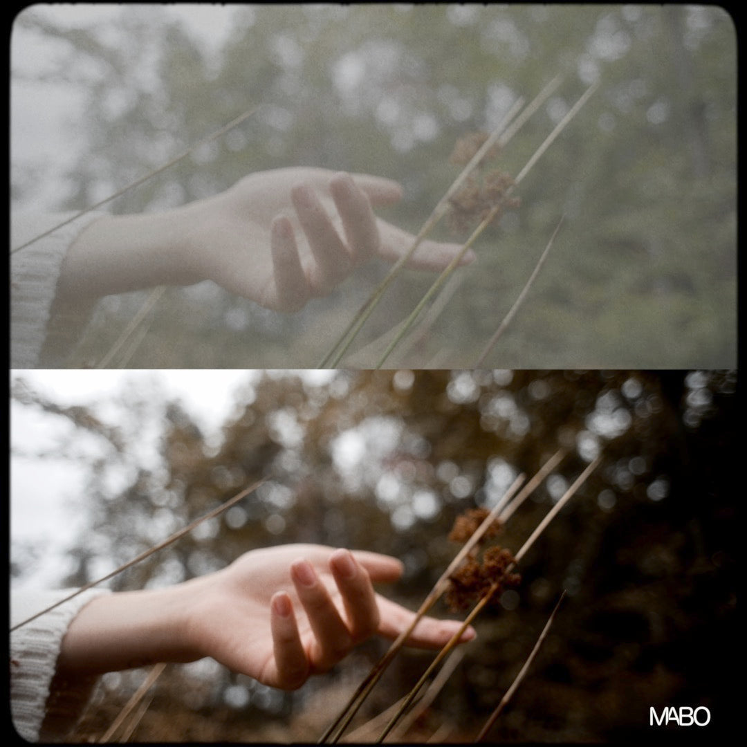 MABO MOOD MAKER LUTs | For All Cameras