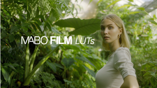 MABO FILM LUTs | Sony SLOG3