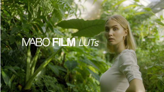 MABO FILM LUTs + Presets + Film Frames COMBO Pack