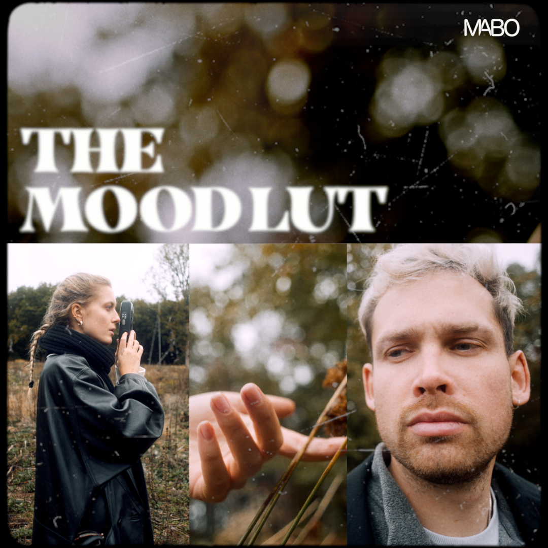 The MOOD LUT | For All Cameras